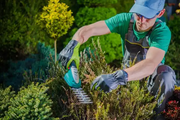 landscaping services North Boston